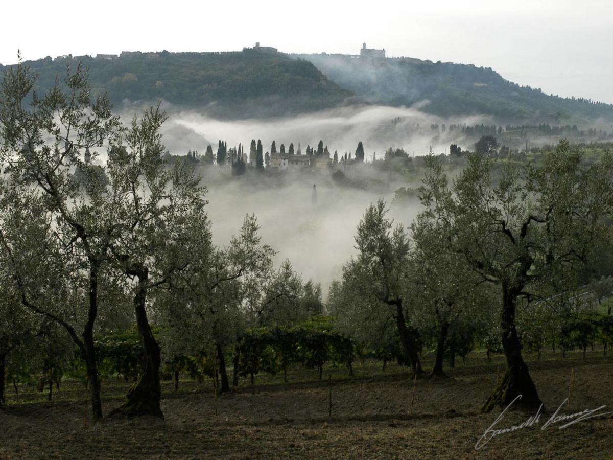 Holiday Home La Voce Del Silenzio By Interhome Volterra Buitenkant foto